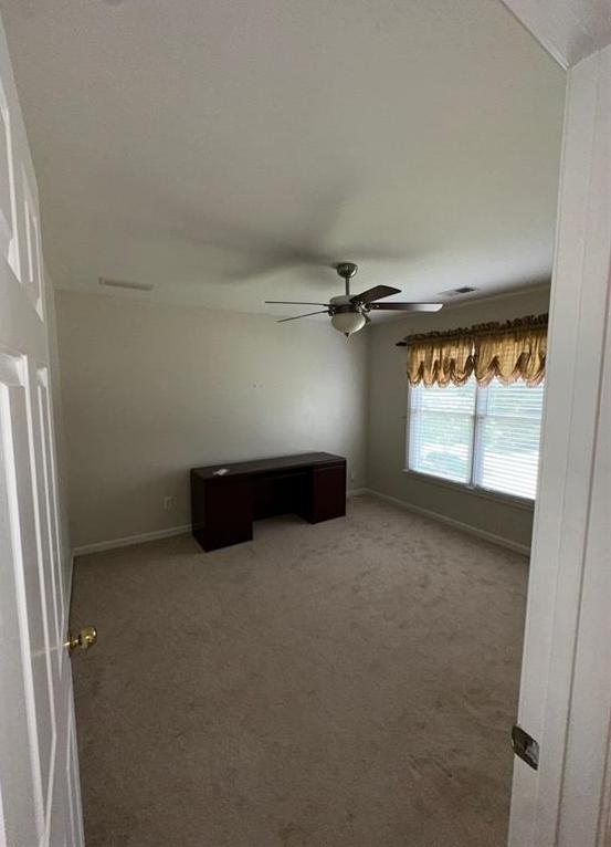 Photo #41