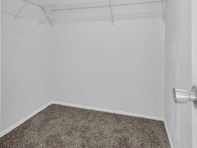 Photo #31