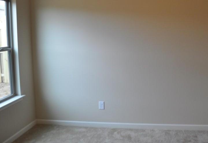 Photo #12