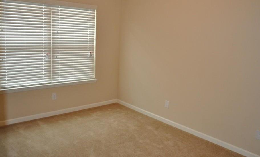 Photo #15