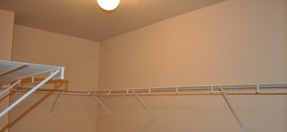 Photo #24
