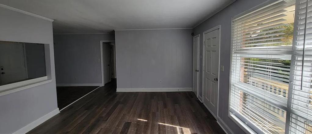 Photo #3