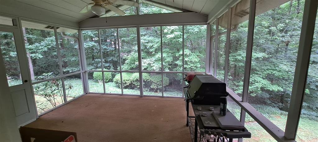 Photo #16