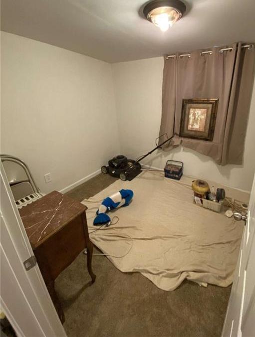 Photo #11