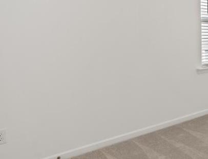 Photo #4
