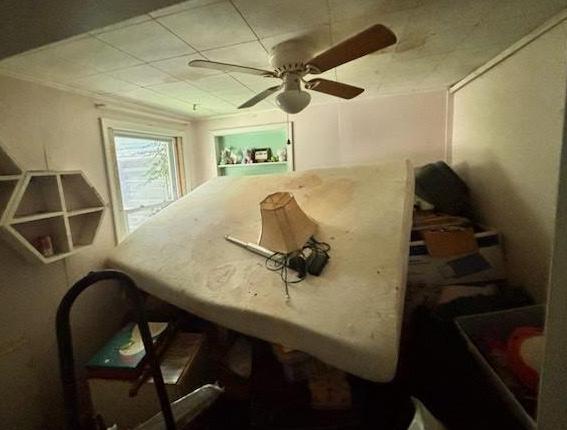 Photo #14