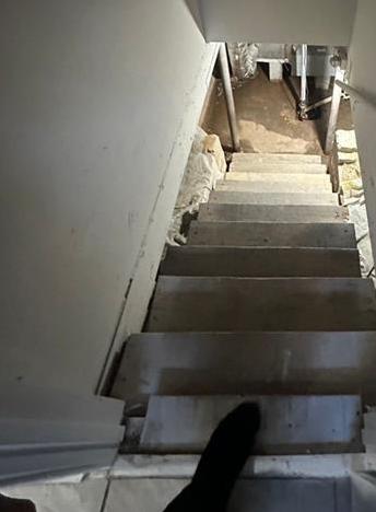 Photo #45