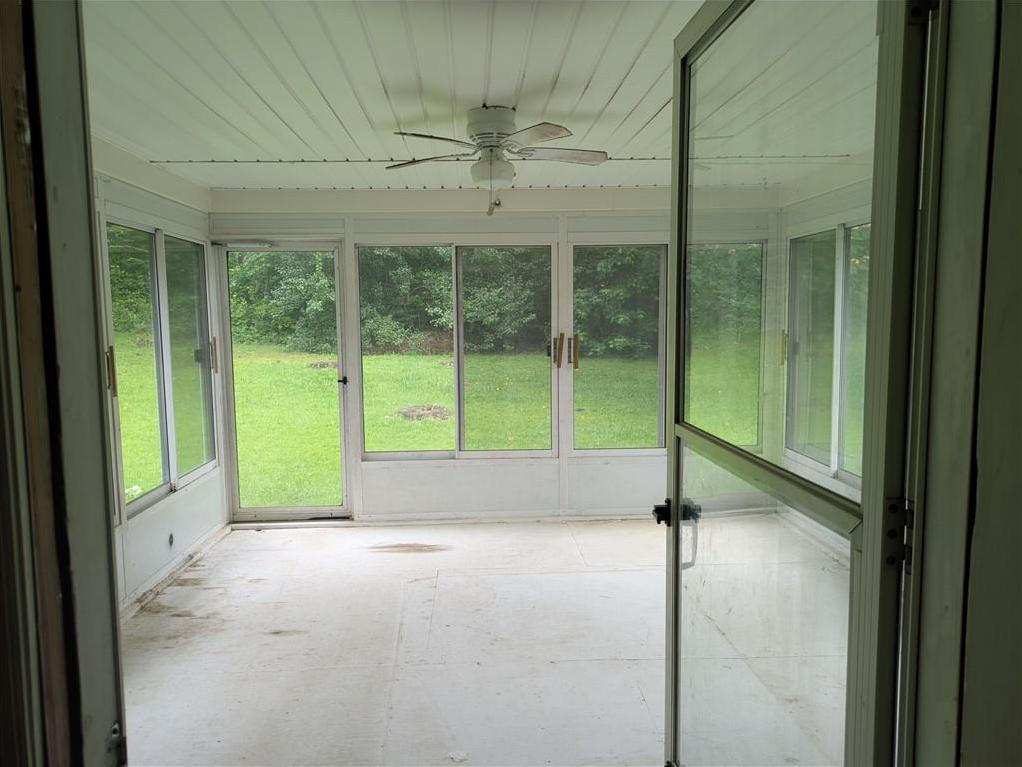 Photo #8