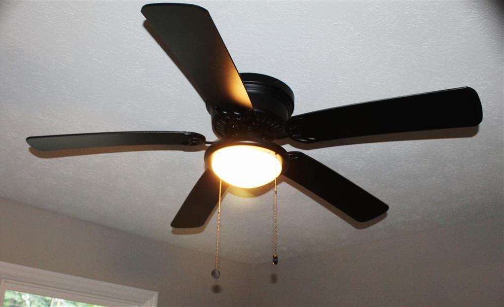 Photo #26