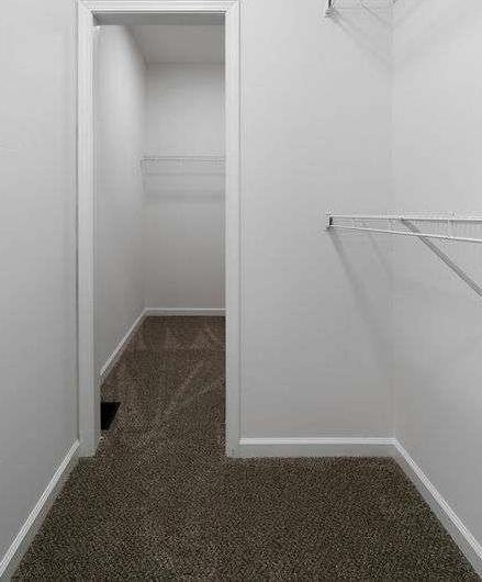 Photo #28