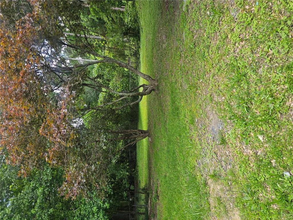 Photo #24