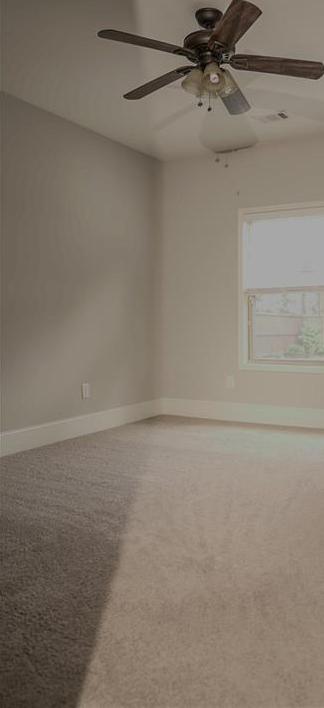 Photo #14