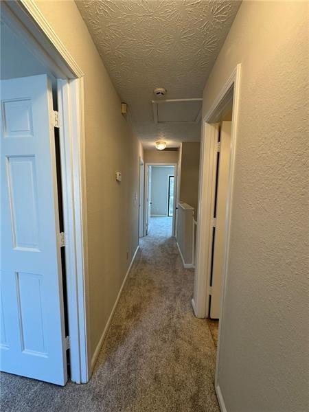 Photo #41