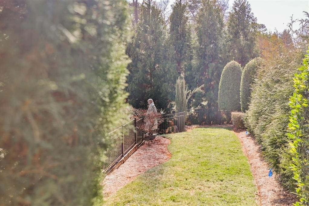 Photo #42