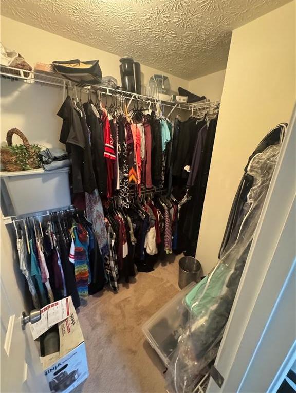 Photo #31