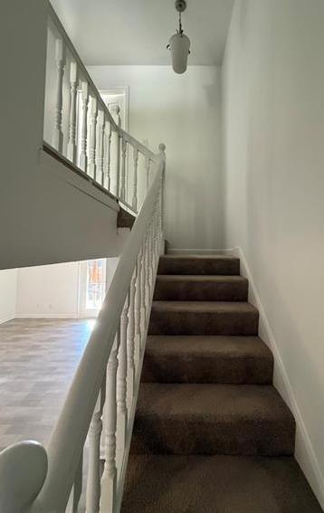 Photo #12