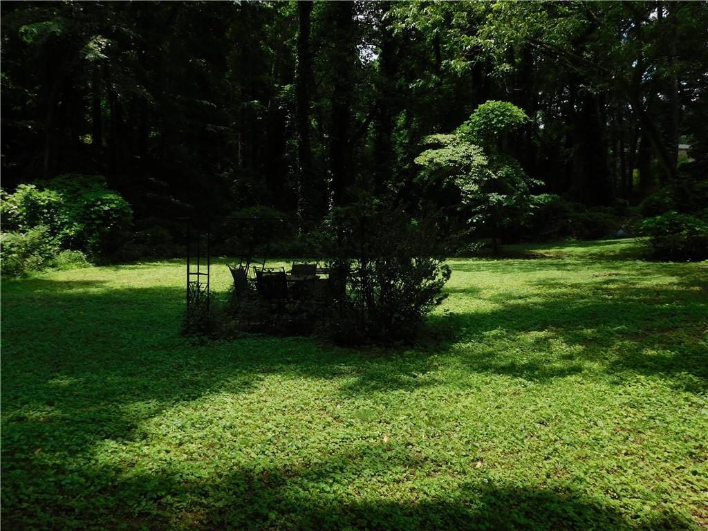 Photo #12