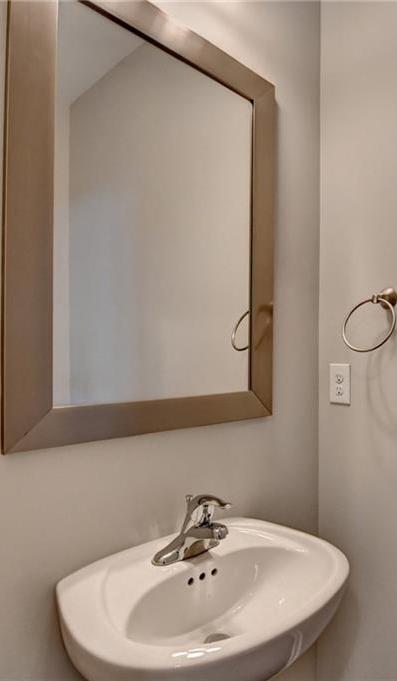 Photo #12