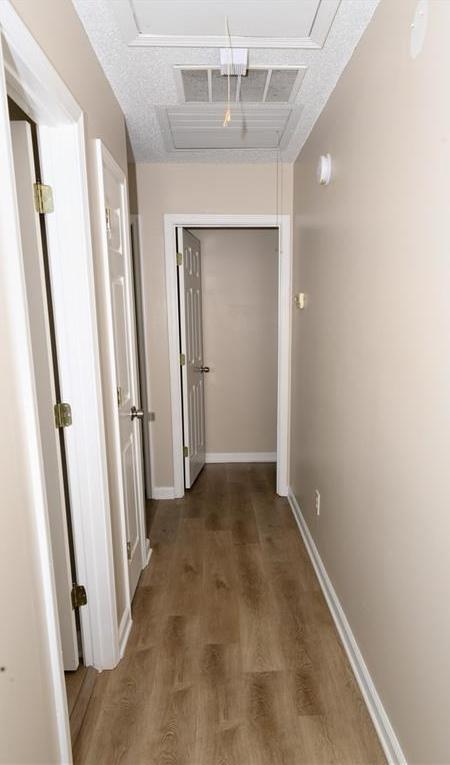 Photo #50