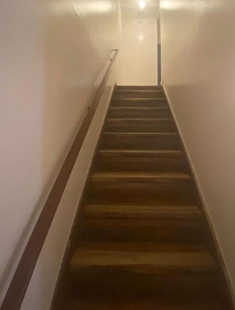 Photo #12