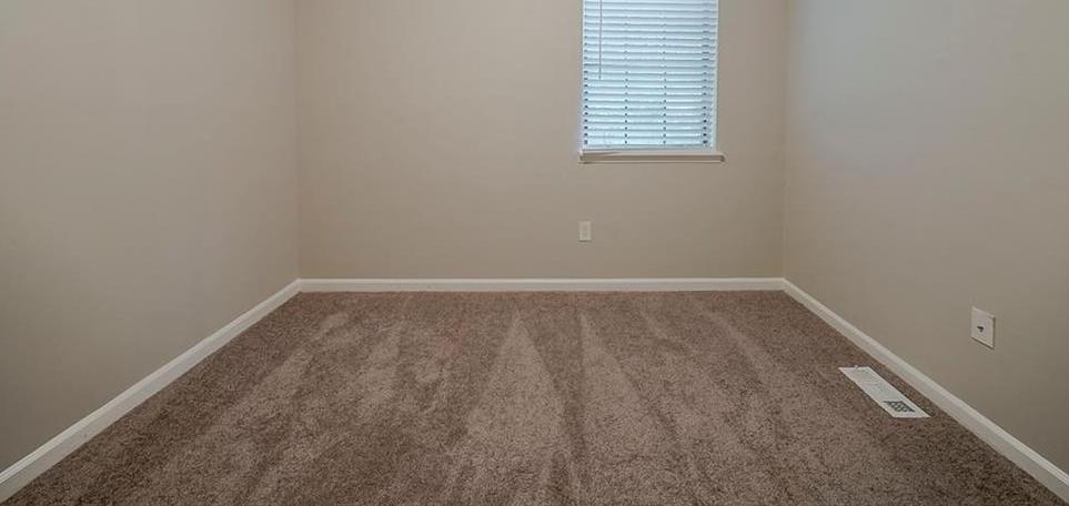 Photo #16