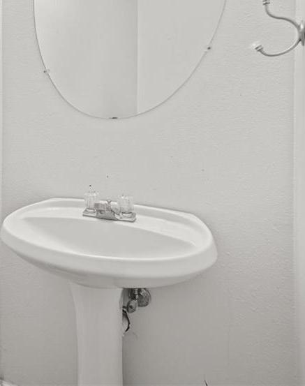 Photo #5