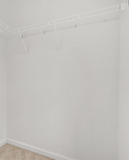 Photo #7