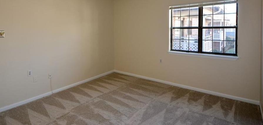 Photo #24