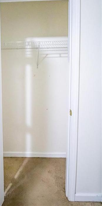 Photo #20