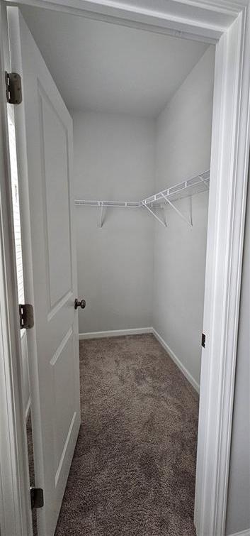 Photo #19