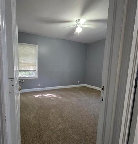 Photo #21