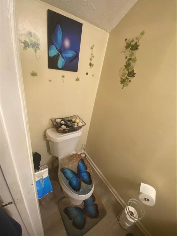 Photo #15