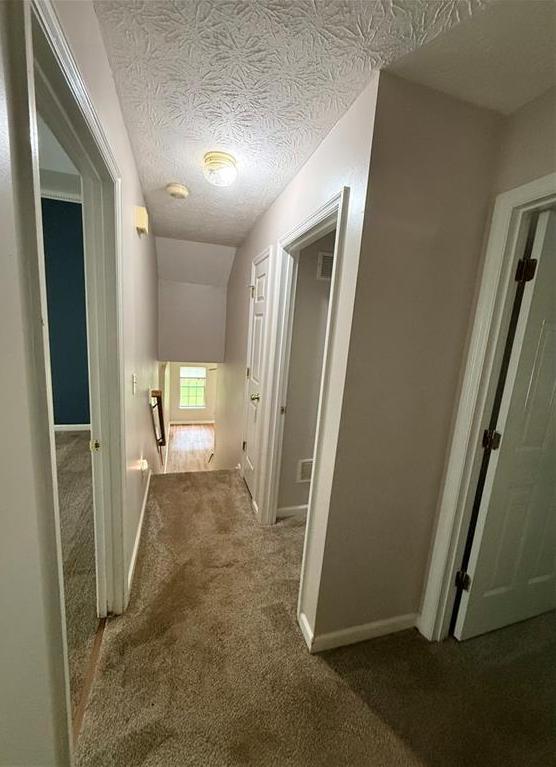 Photo #38