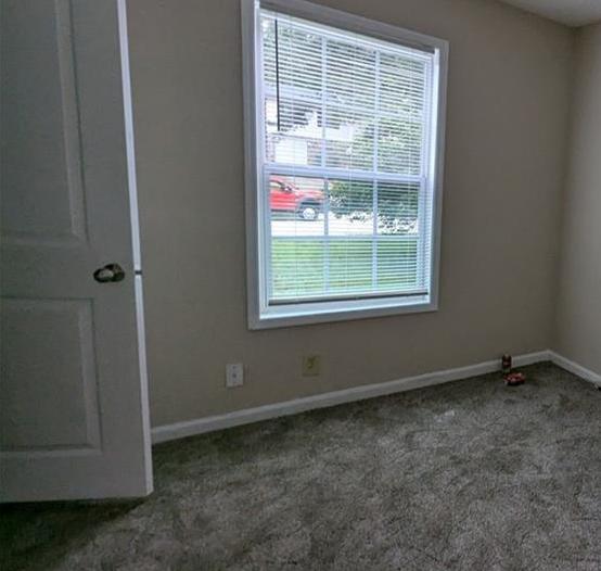Photo #10