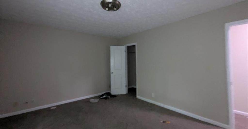 Photo #11