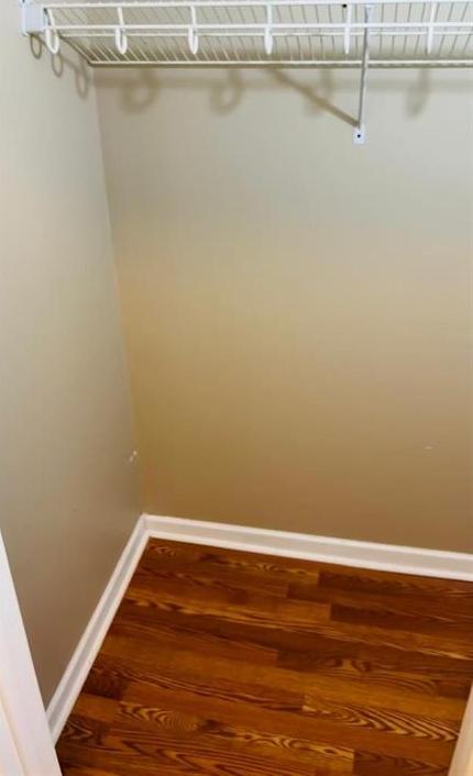 Photo #18