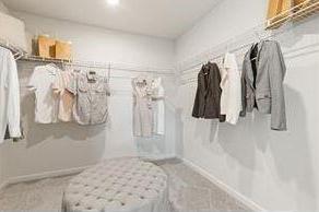 Photo #14