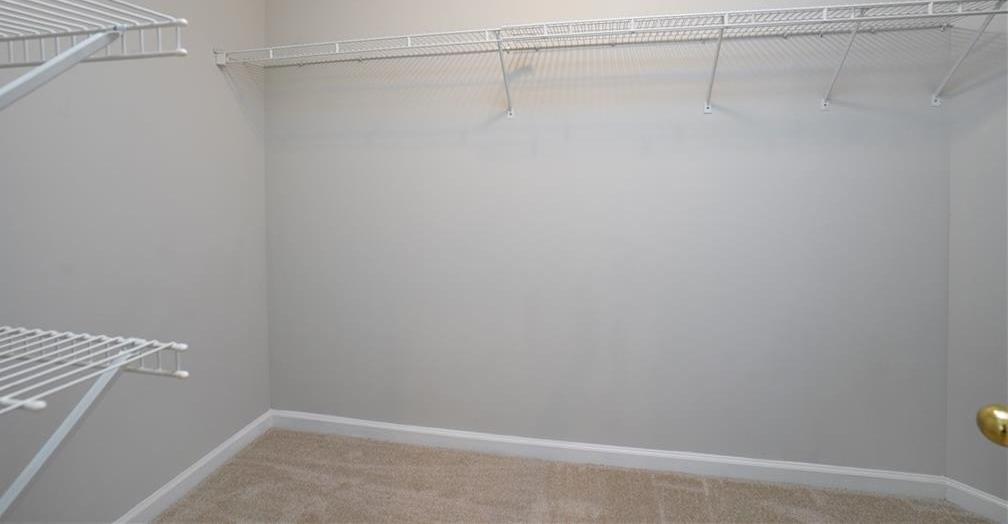 Photo #31