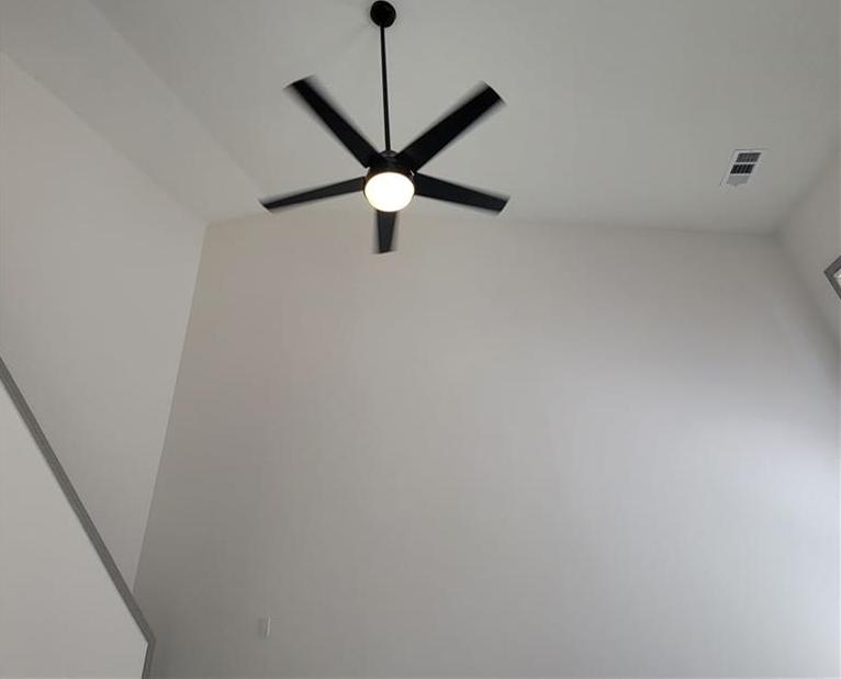 Photo #11