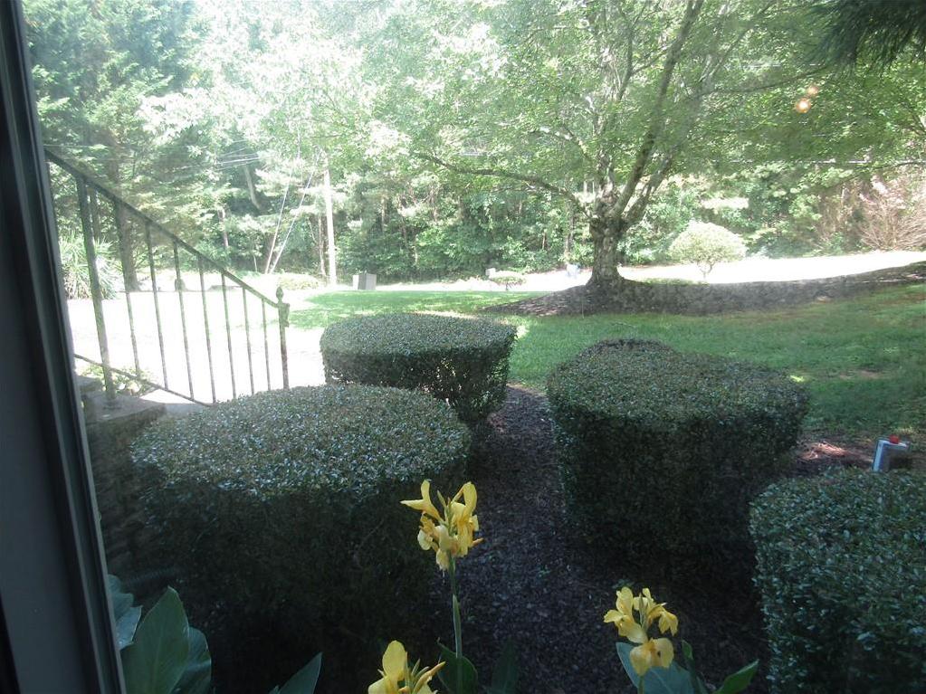 Photo #36