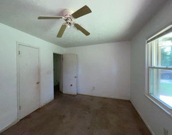 Photo #15