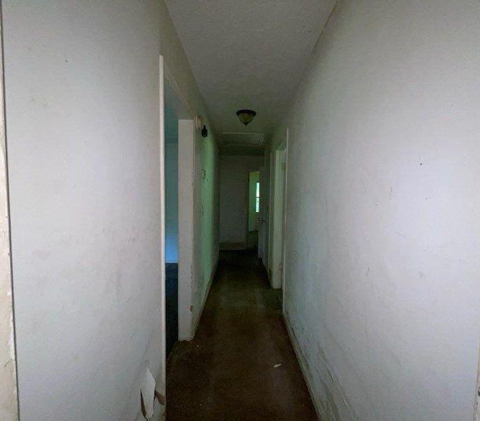 Photo #10