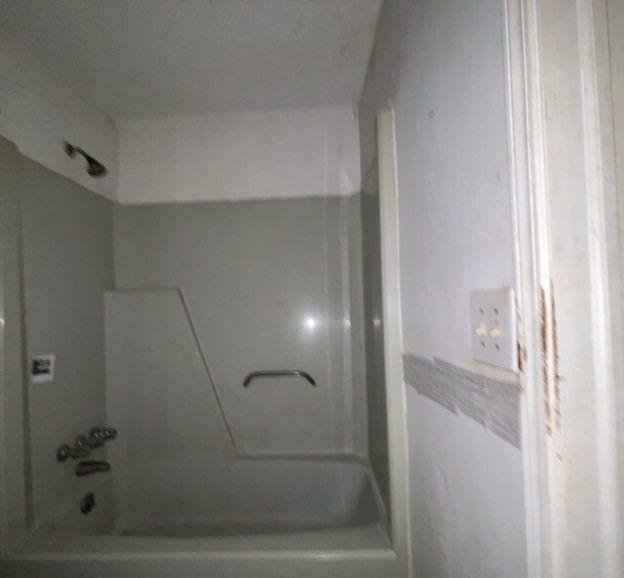 Photo #14