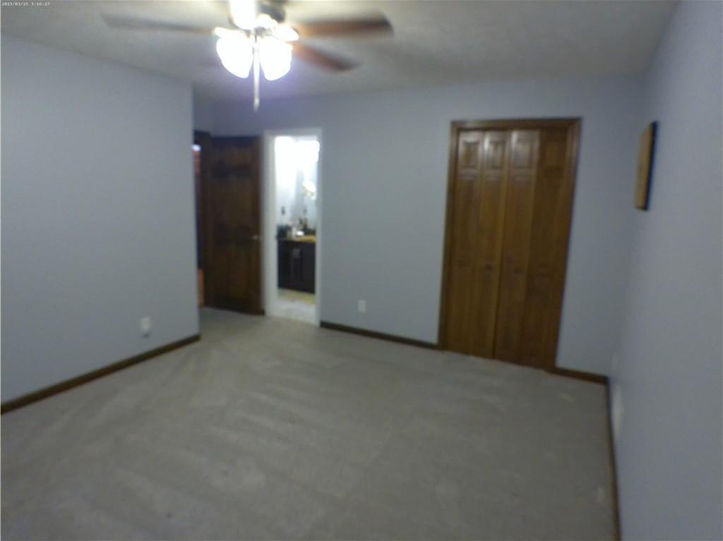 Photo #46