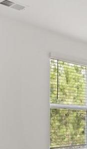Photo #11
