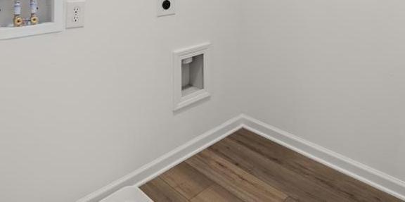 Photo #12