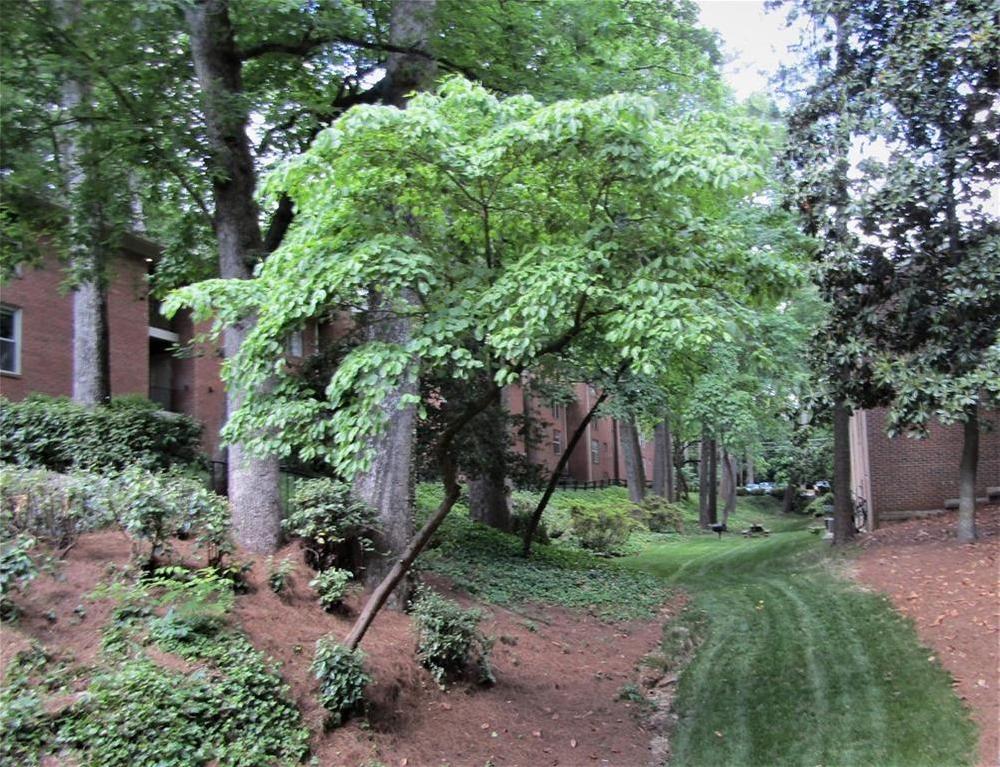 Photo #3