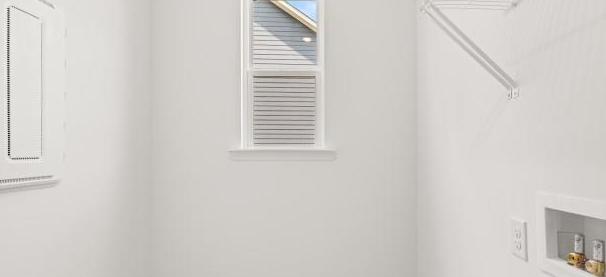 Photo #11