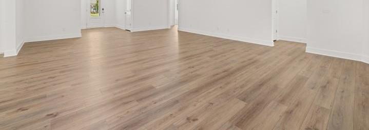 Photo #16