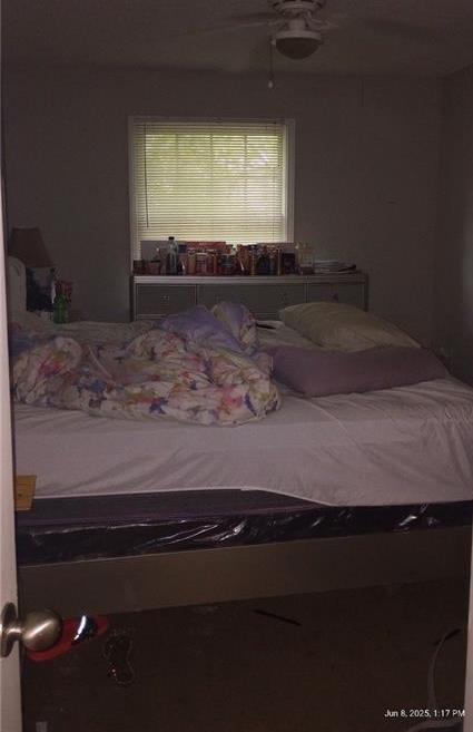 Photo #14